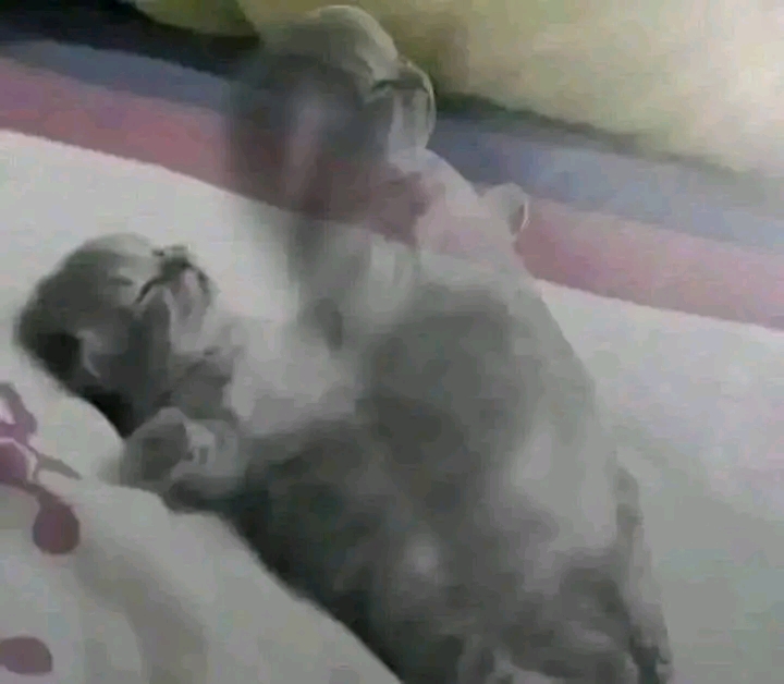 1740740111364.jpg