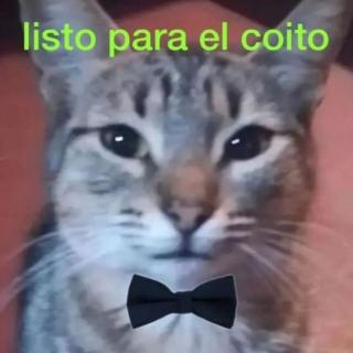 listo oqra el coito.jpg