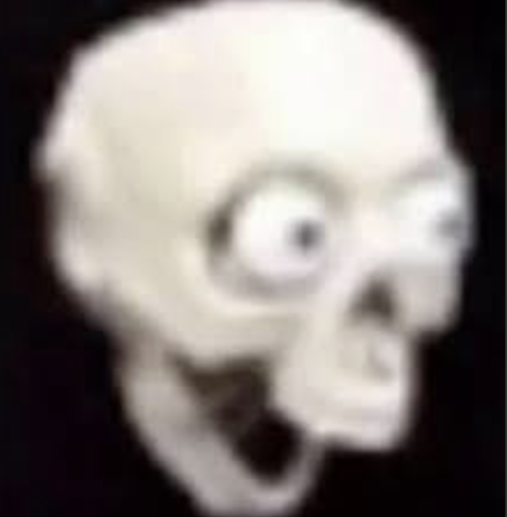 1000013100.png