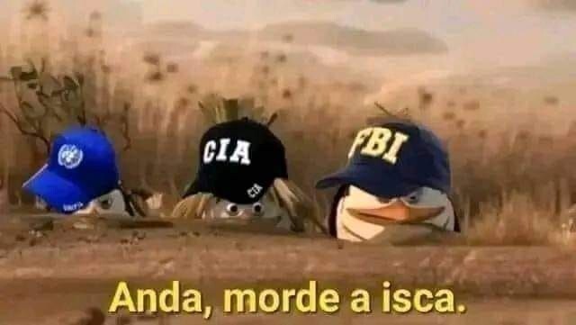 1000012080.jpg