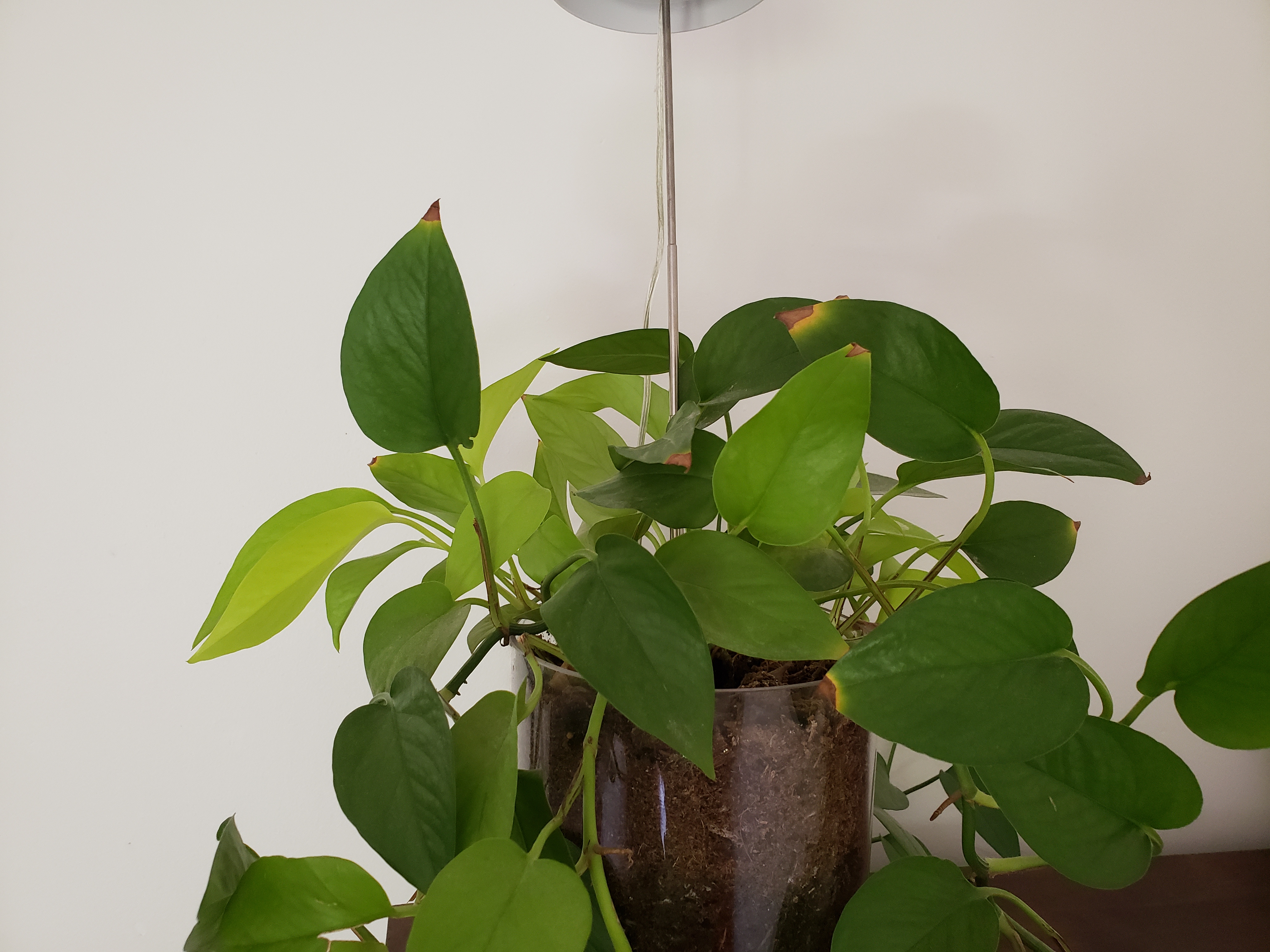 ceramic house plant pots Modern Aluminum Wall Planter Pot — Minimalist Indoor Pot for Wall Mounted Planters & Hangers